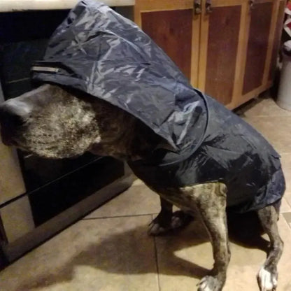 Cozy Critter Rainwear