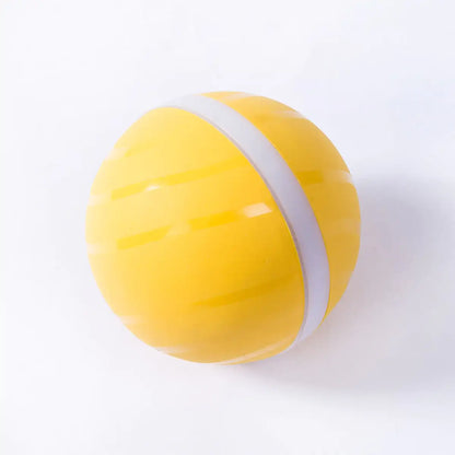 Glow Fun Pet Ball