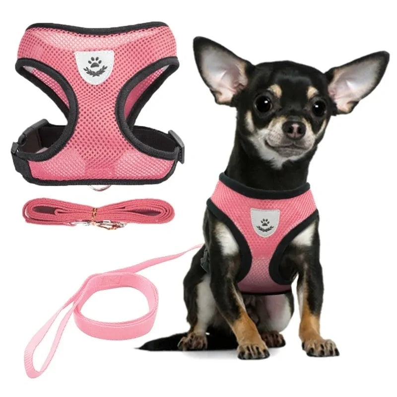 Pawsome Comfort Harness