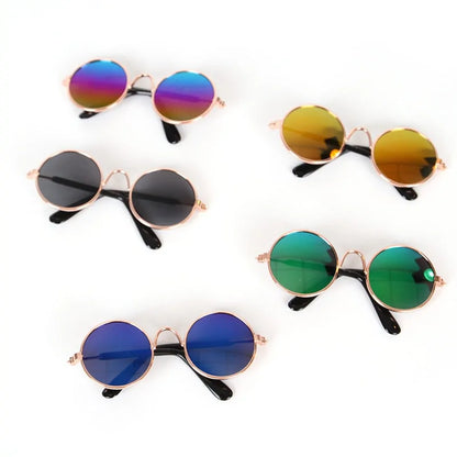 Chic Pet Shades