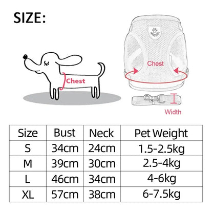 Pawsome Comfort Harness