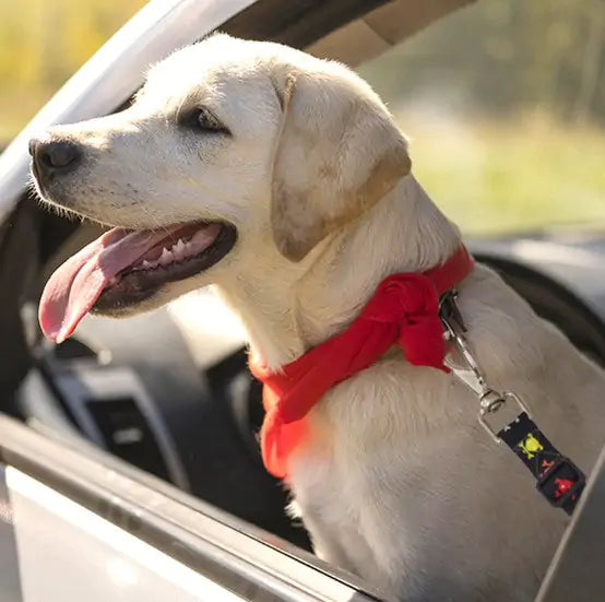 Furry Friend Seatbelt