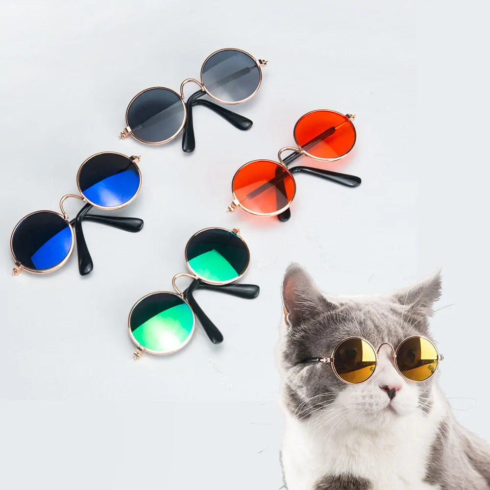 Chic Pet Shades