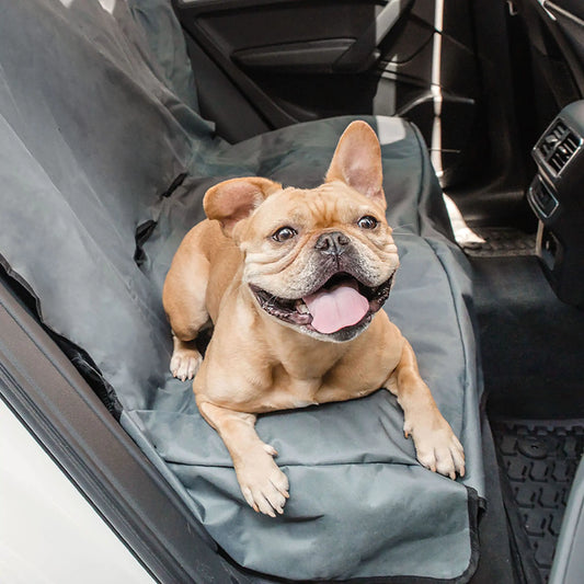 Pooch Car Seat Protector