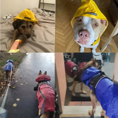 Cozy Critter Rainwear