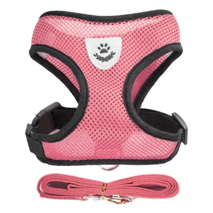 Pawsome Comfort Harness