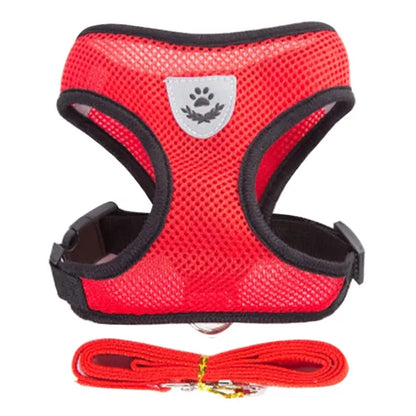 Pawsome Comfort Harness