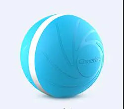 Glow Fun Pet Ball