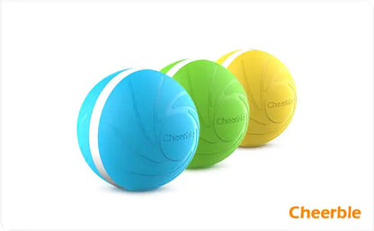 Glow Fun Pet Ball