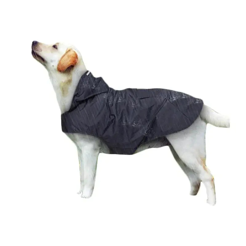 Cozy Critter Rainwear