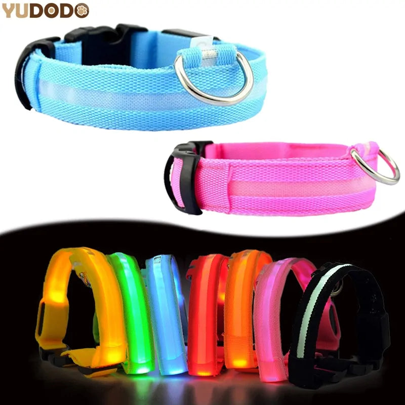 Glowing Pet Necklace