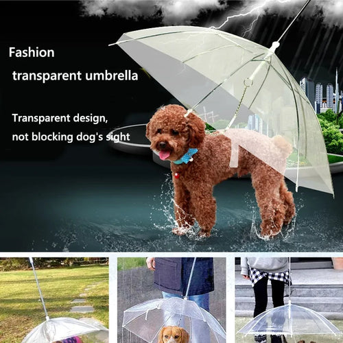 Pooch Umbrella