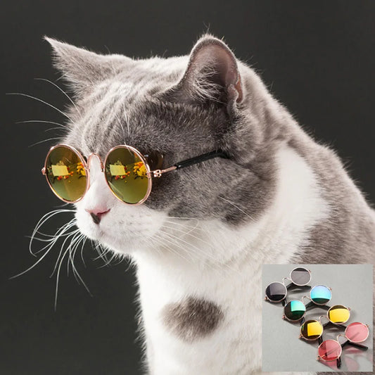 Chic Pet Shades