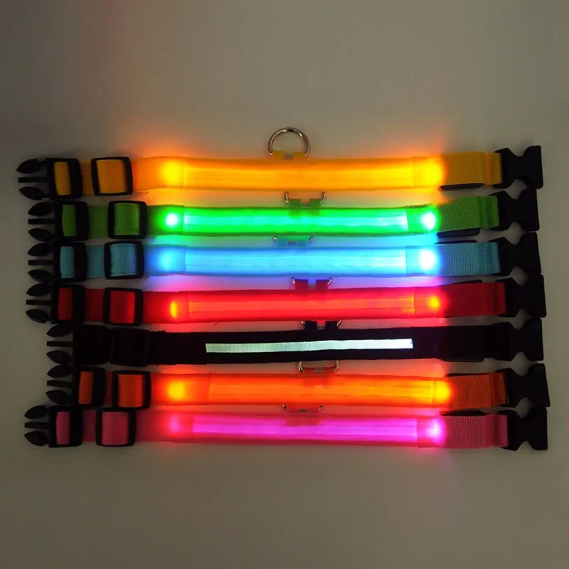 Glowing Pet Necklace