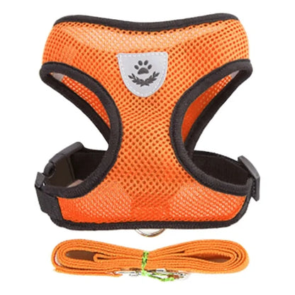 Pawsome Comfort Harness