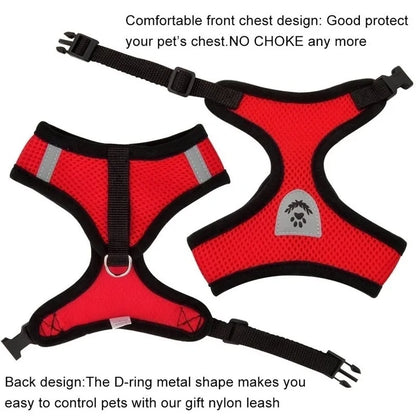 Pawsome Comfort Harness