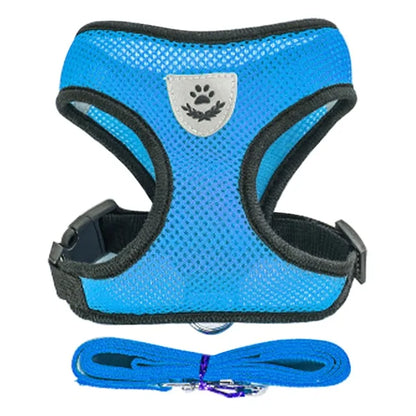 Pawsome Comfort Harness