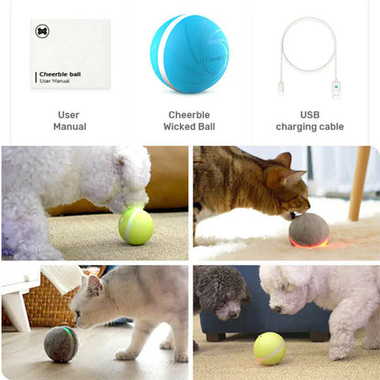 Glow Fun Pet Ball