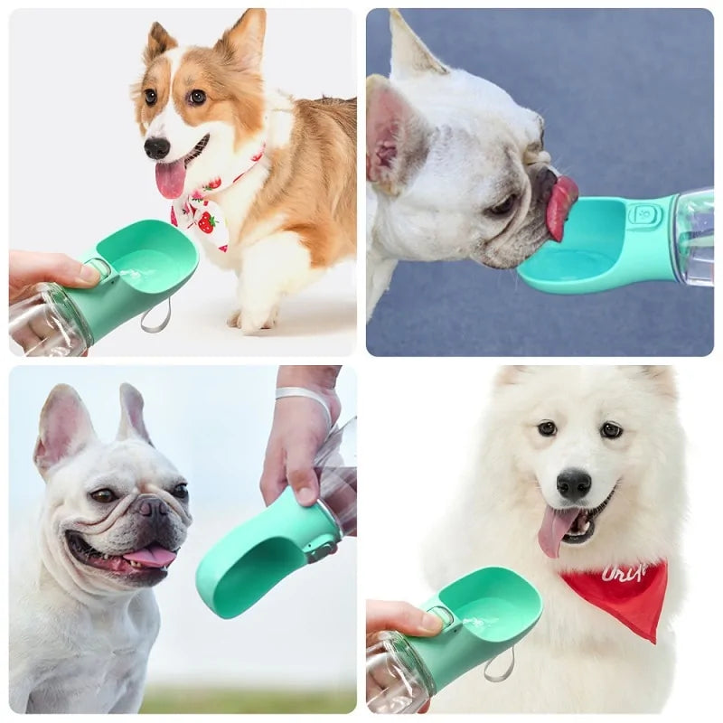 Paws-On-The-Go Water Bottle