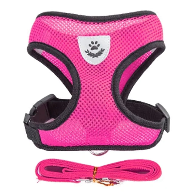 Pawsome Comfort Harness