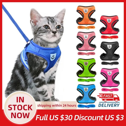 Pawsome Comfort Harness